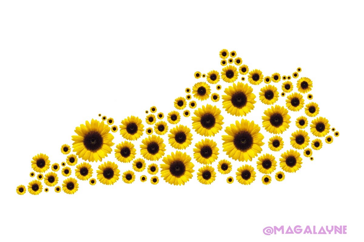 magalayne's profile banner image