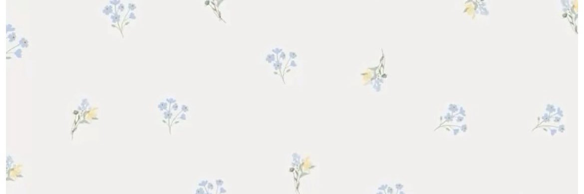 Chii banner