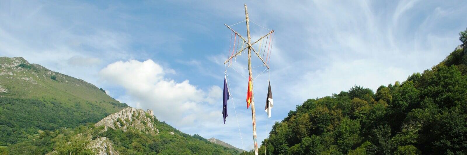Scouts Proel 334 banner