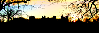 Farctum's profile banner image