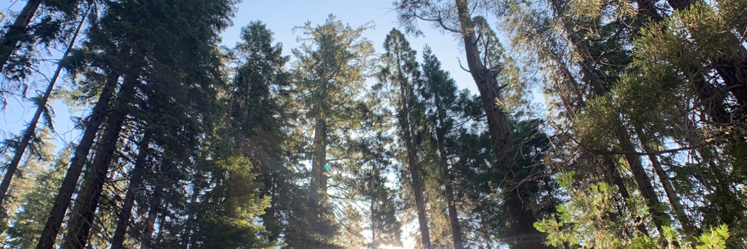 AliMaterna's profile banner image