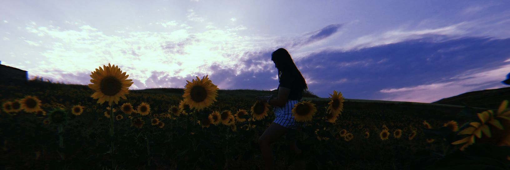LauraMoraCor's profile banner image