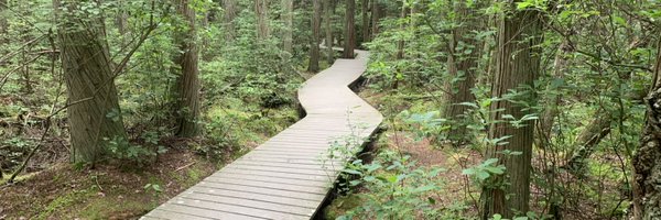 _EmilyNorton Profile Banner