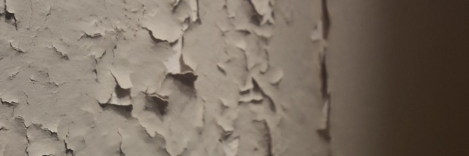 shriektoo's profile banner image
