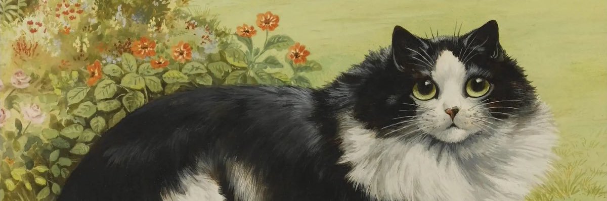 Love Bug 🇺🇸🇨🇦✌️💙 banner