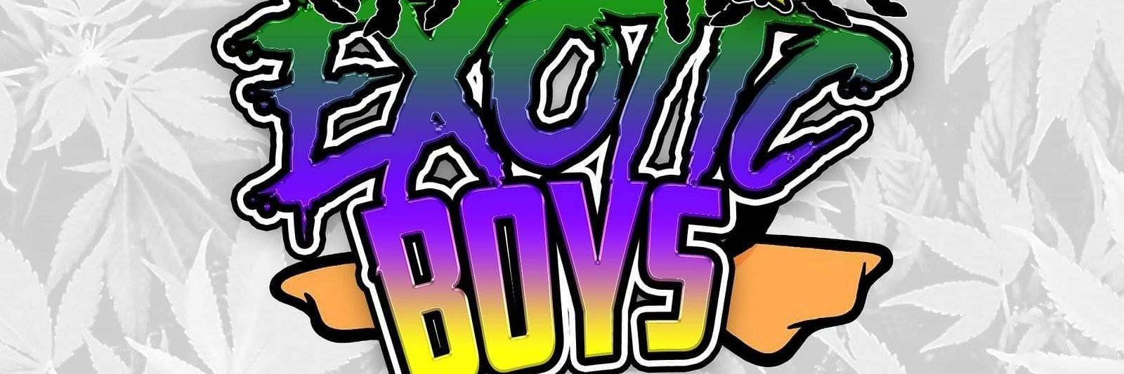 mrhulk2times's profile banner image