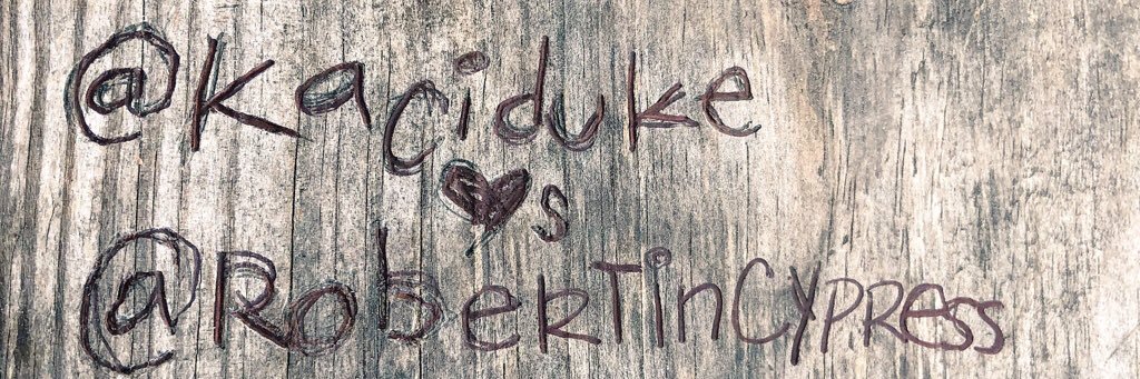 kaciduke's profile banner image