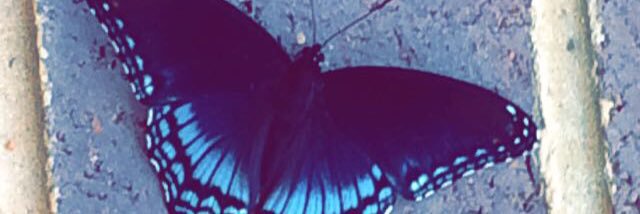 madelineee13_'s profile banner image