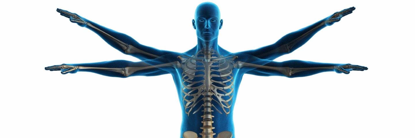PhysioShefield's profile banner image