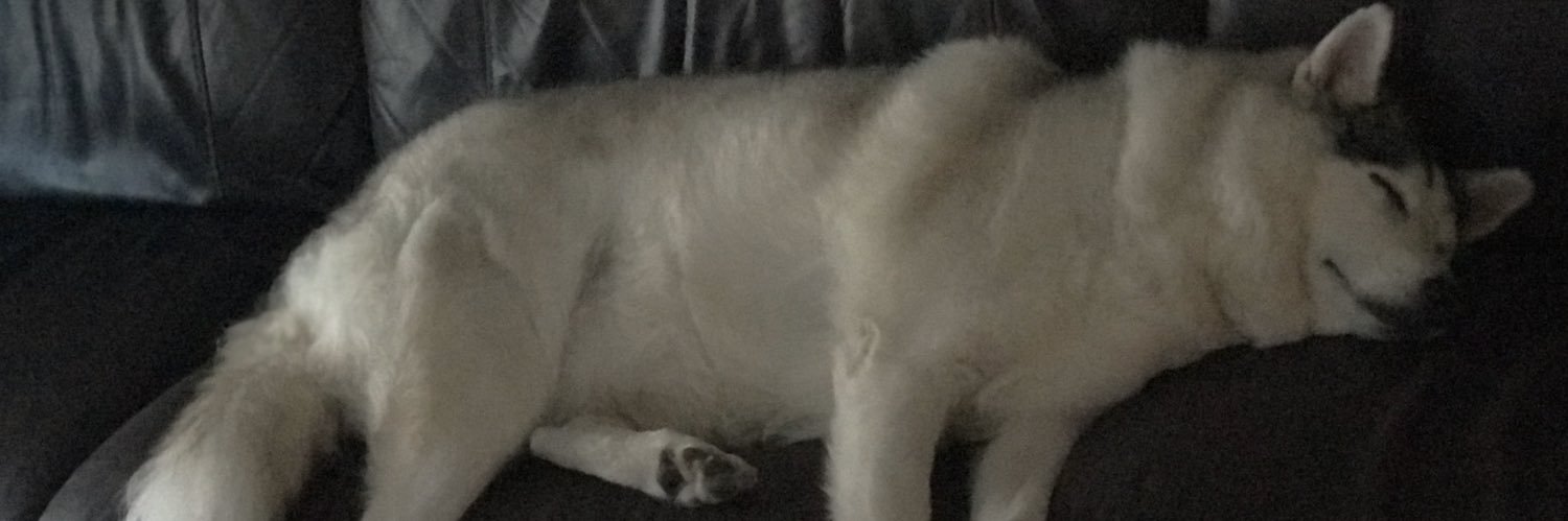 BryanBronx's profile banner image