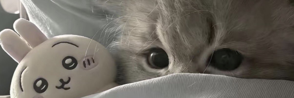 bemynneverland's profile banner image