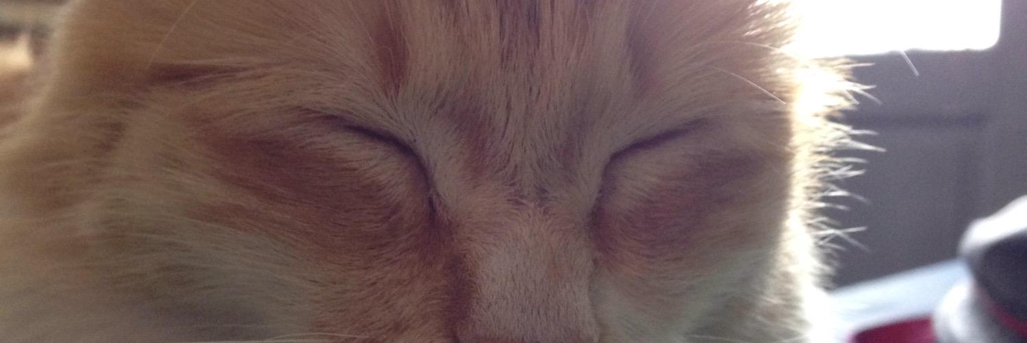 OscarBcrra's profile banner image