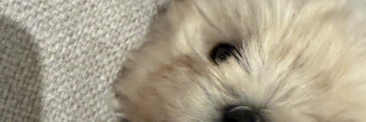 Saturnm_oon's profile banner image