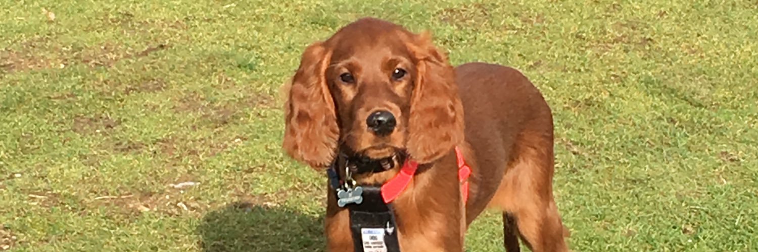 cazzy1's profile banner image