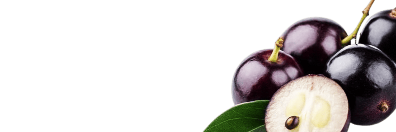 Tree_Plauge_'s profile banner image