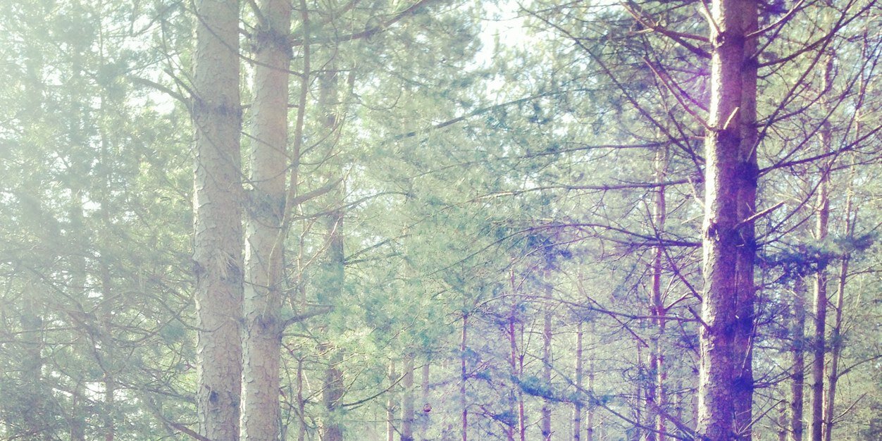 Matty__Tay's profile banner image