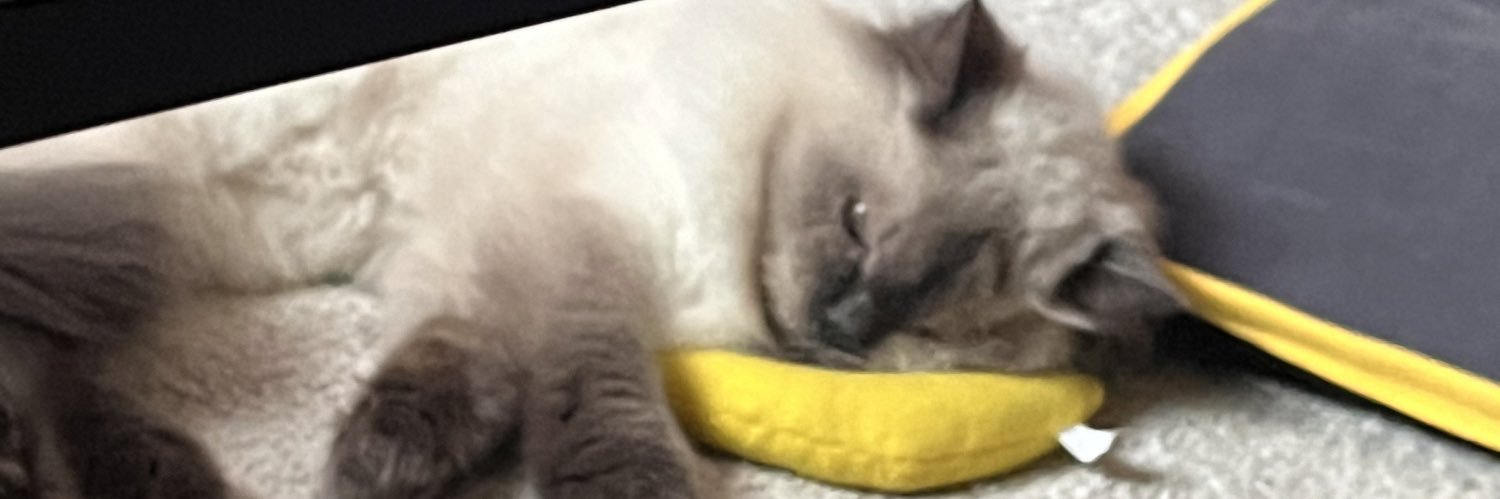 semiturkmen's profile banner image