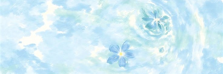 seasimss's profile banner image