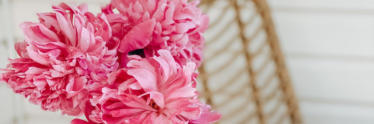 WIswanson's profile banner image