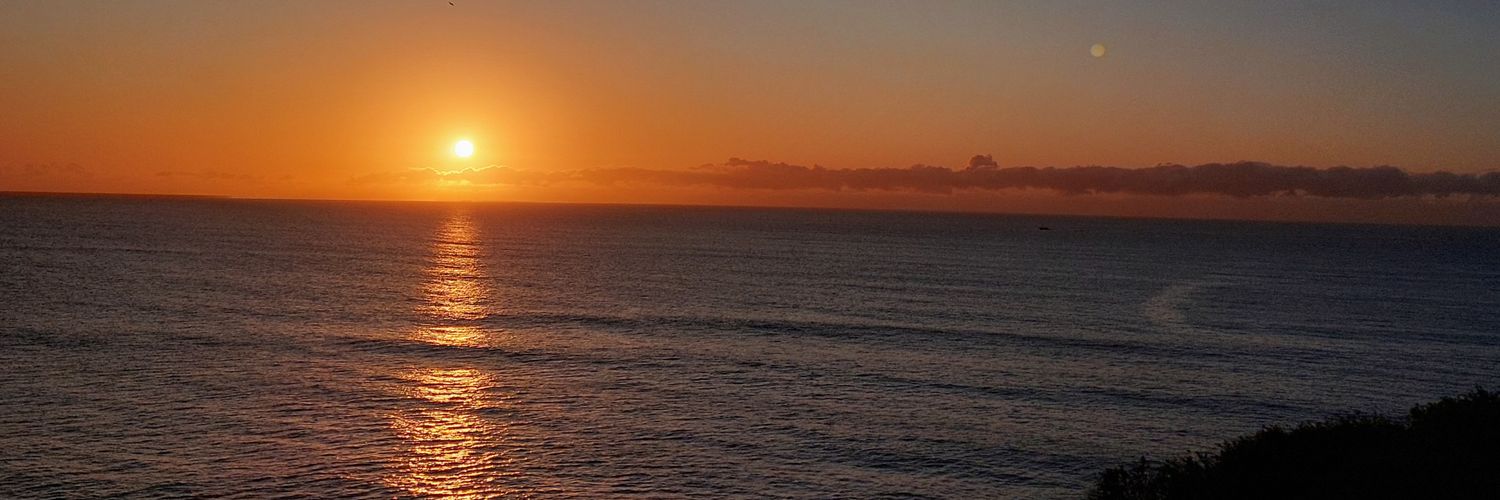 candesalinass's profile banner image