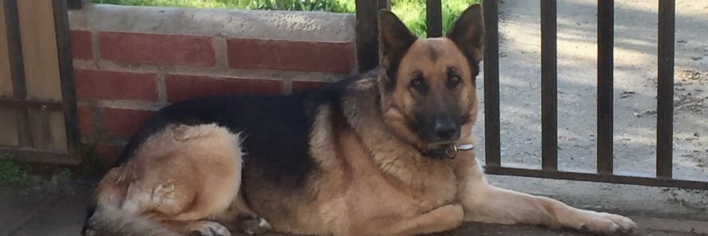 AnaFuentesA's profile banner image
