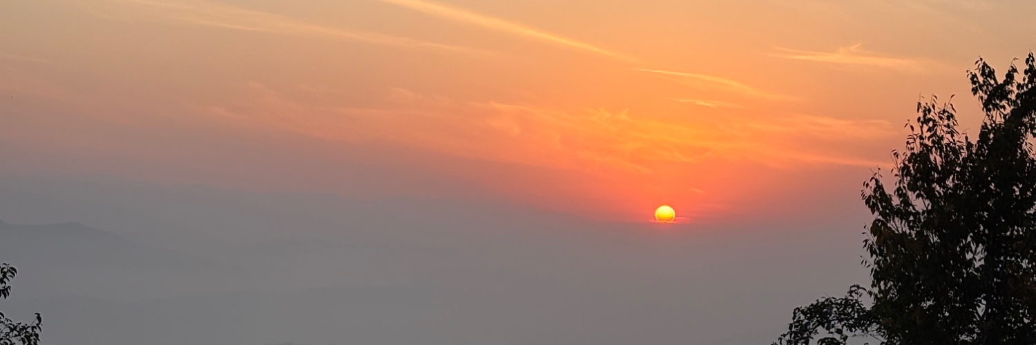 Restlesspetals_'s profile banner image