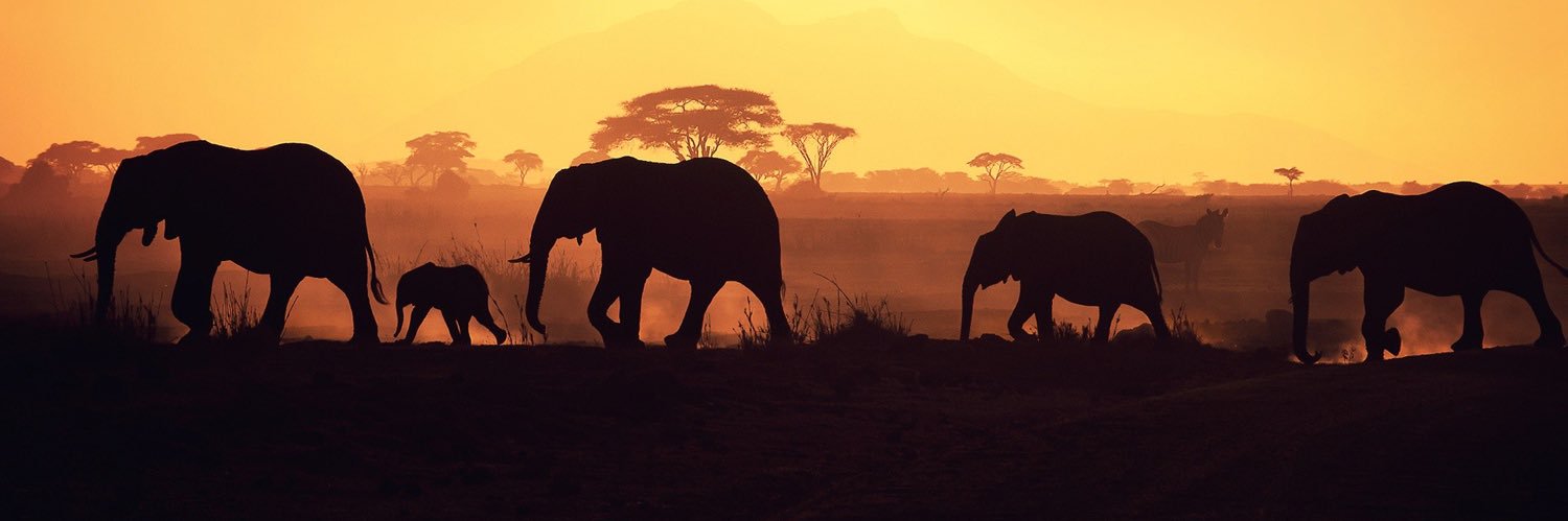 Adam Abdullah banner