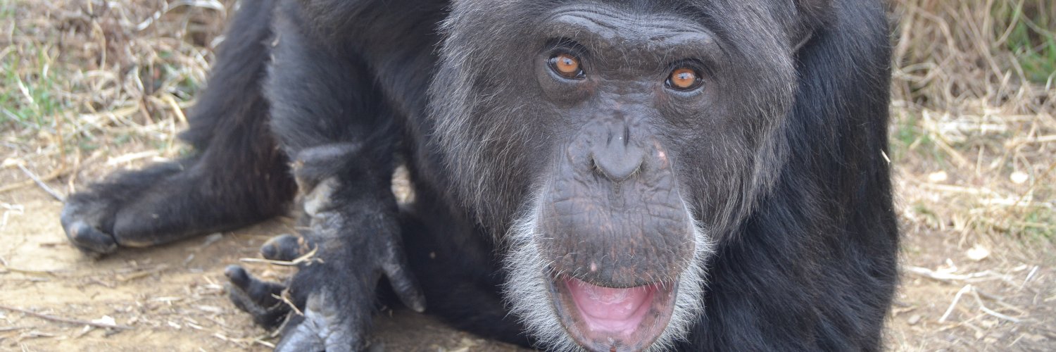 MONA Primate Welfare's banner