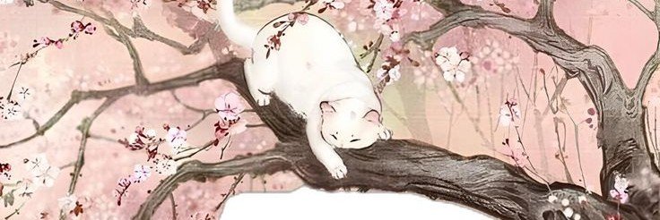 angwpro's profile banner image