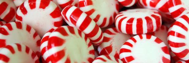 peppermintLee's profile banner image