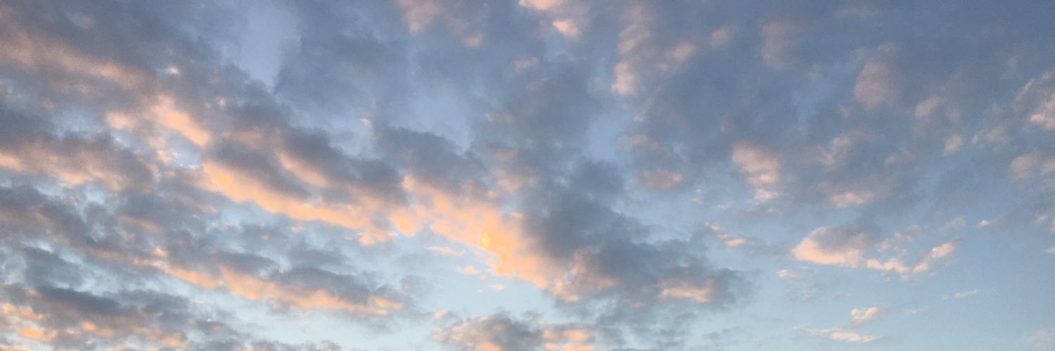 spazzology's profile banner image