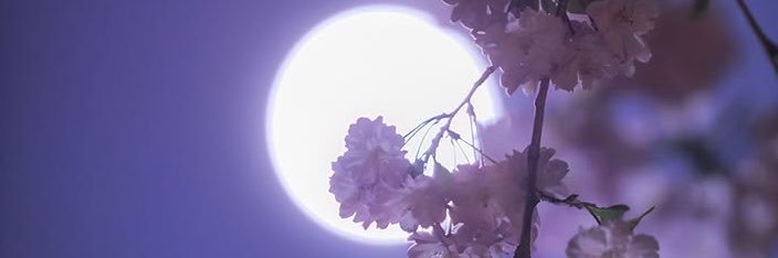 Ei___cp07's profile banner image