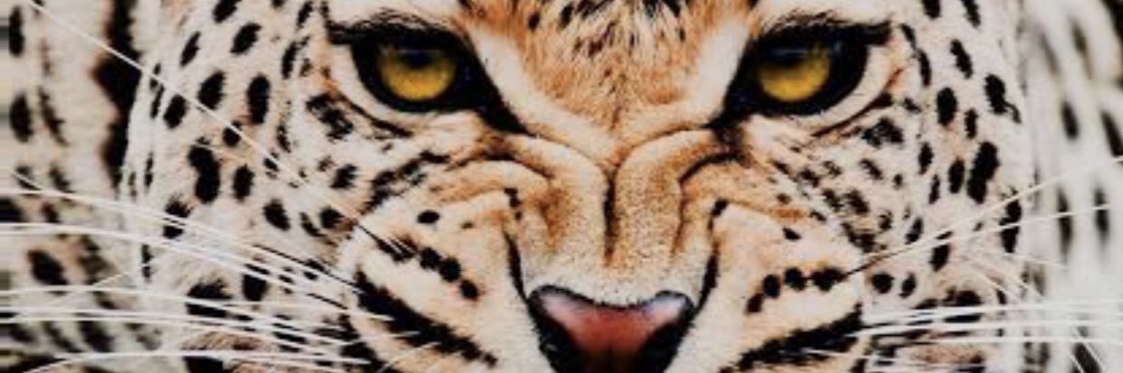 OtisLawrence_'s profile banner image