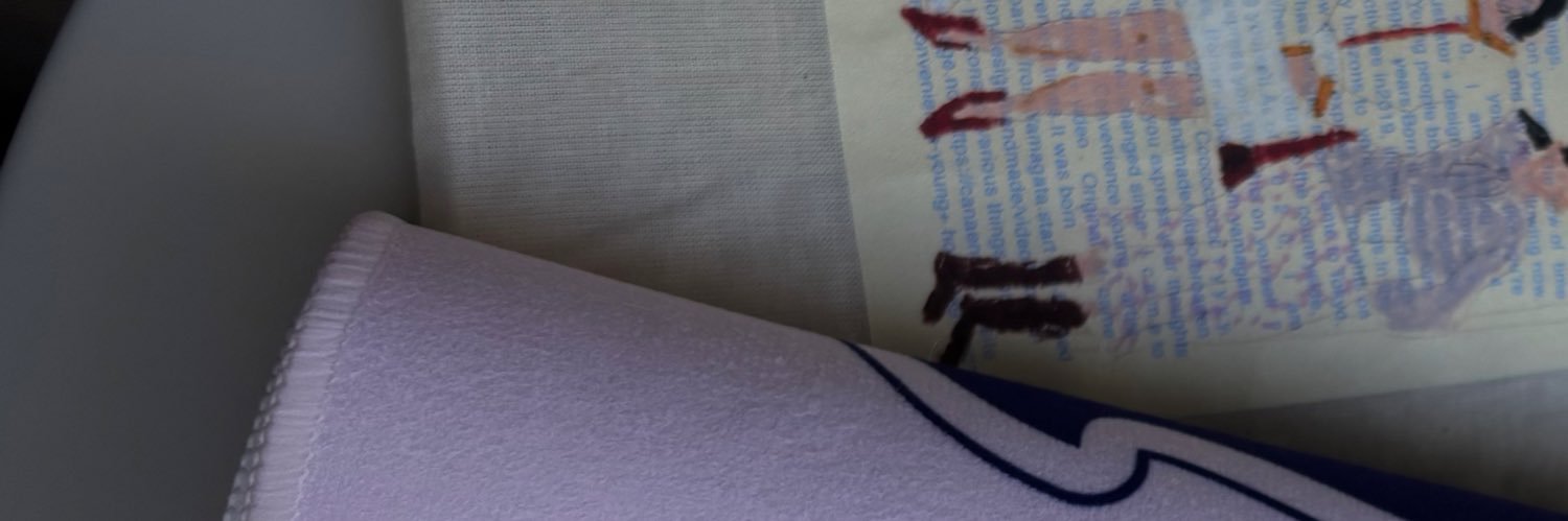 eikily___'s profile banner image