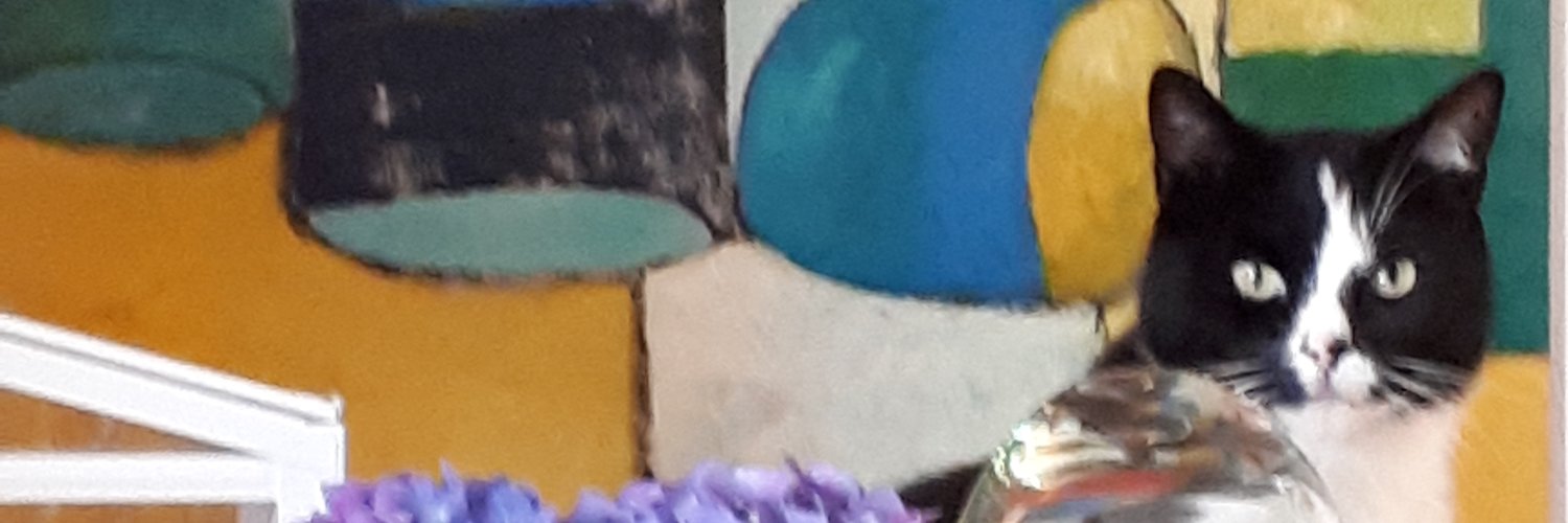 gerdazwart's profile banner image