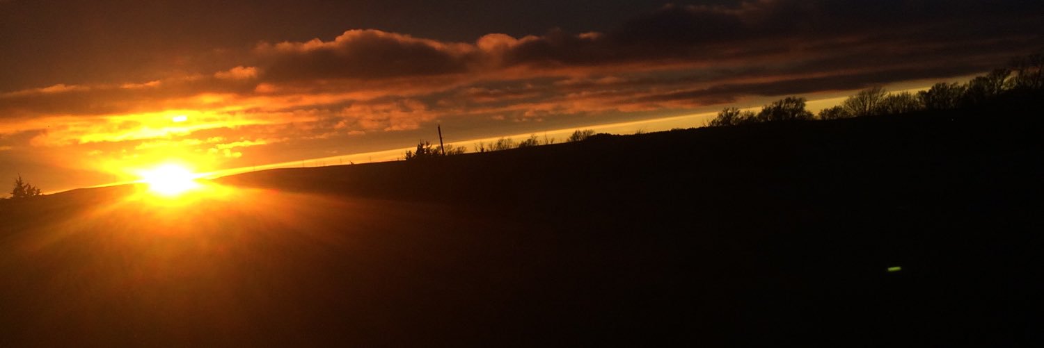 DrewYosh78's profile banner image