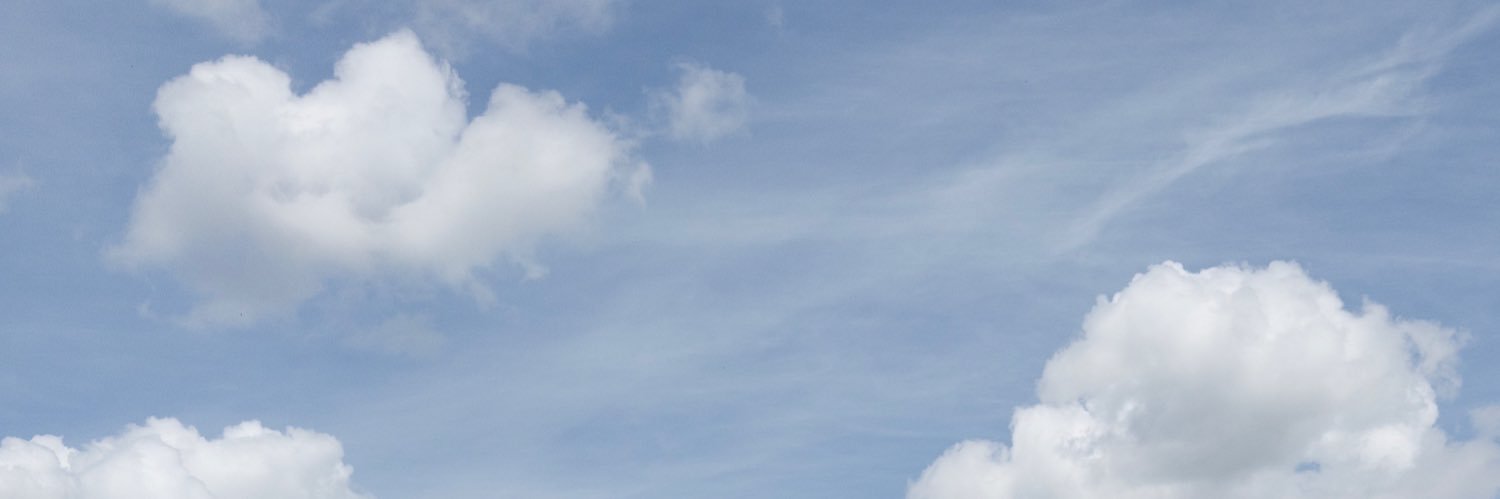 d4lise's profile banner image