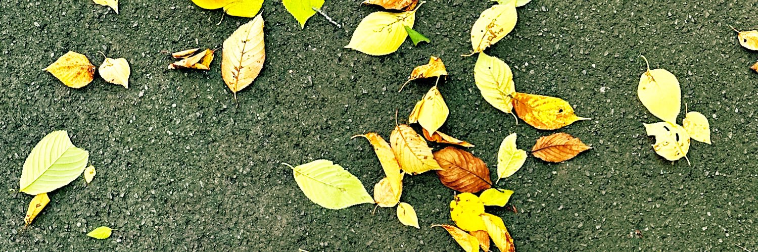 ackq's profile banner image