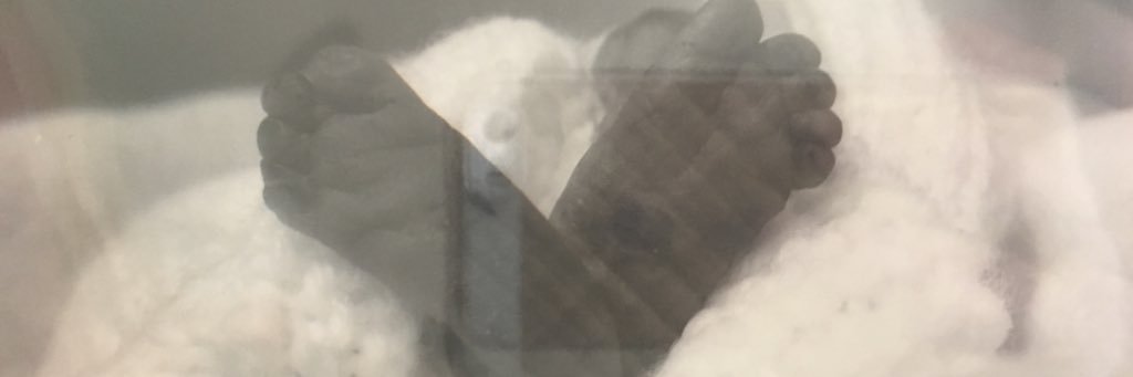 lynboro's profile banner image