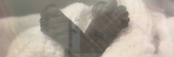 lynboro Profile Banner