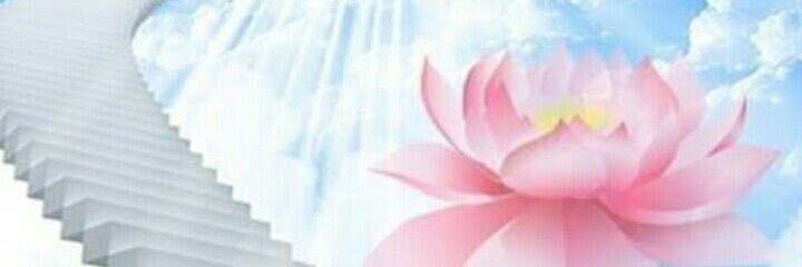 marenalee's profile banner image