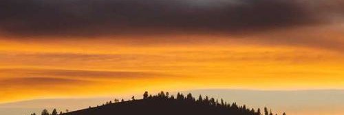ellqffcv's profile banner image