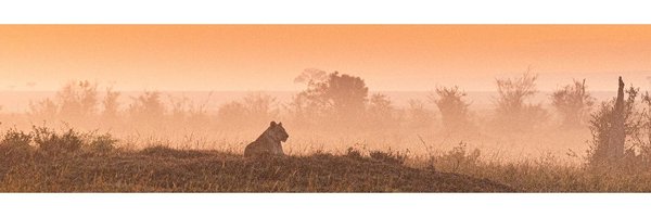 clairnicol Profile Banner