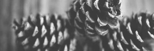 joplcr's profile banner image