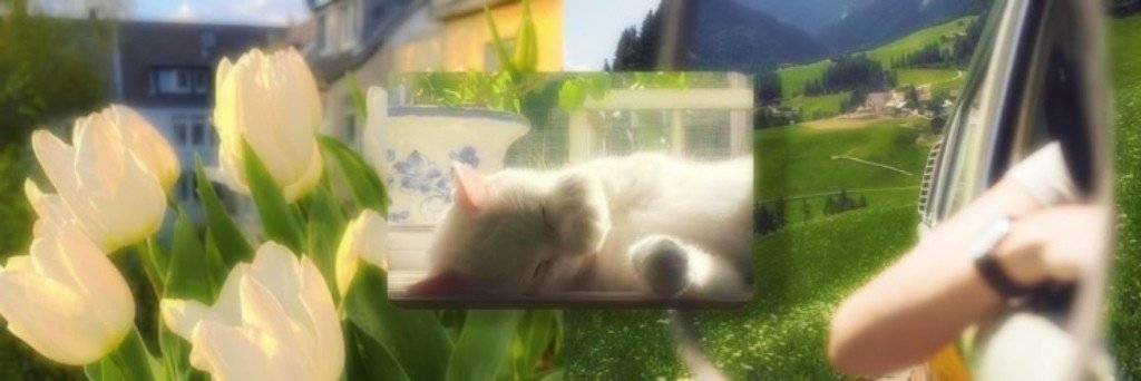 etmemoir's profile banner image