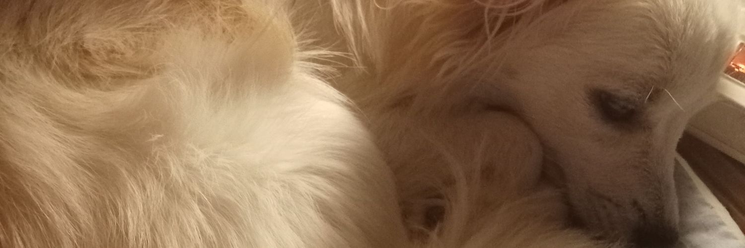 Jabroyes's profile banner image