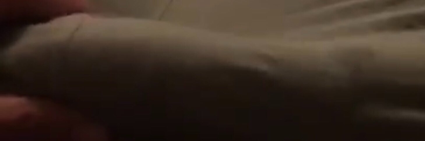 smilesnoir's profile banner image