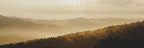 yqxttype's profile banner image