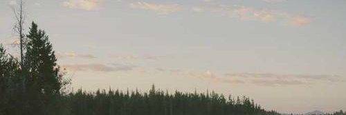 eslxpuf's profile banner image