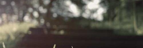 dadwwxiv's profile banner image